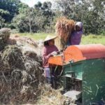 Panduan Memilih Mesin Power Thresher Sesuai Jenis dan Kebutuhan Pertanian
